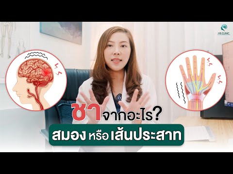 Preview image for the video "ชาจากอะไร สมองหรือเส้นประสาท".